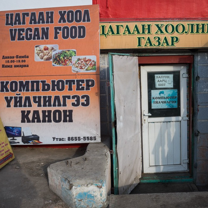 Каким алфавитом пользуются монголы?