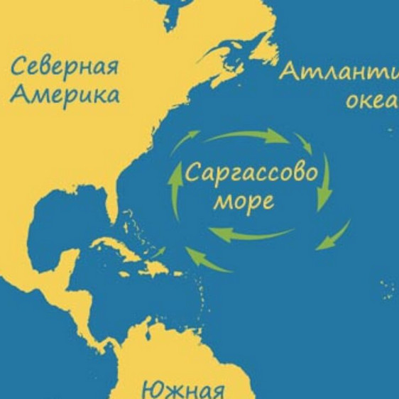 Какое море не имеет берегов?