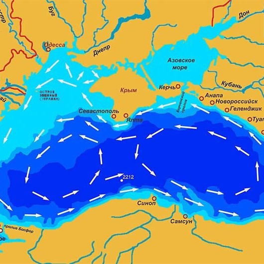 В каком море схема течений напоминает очки?