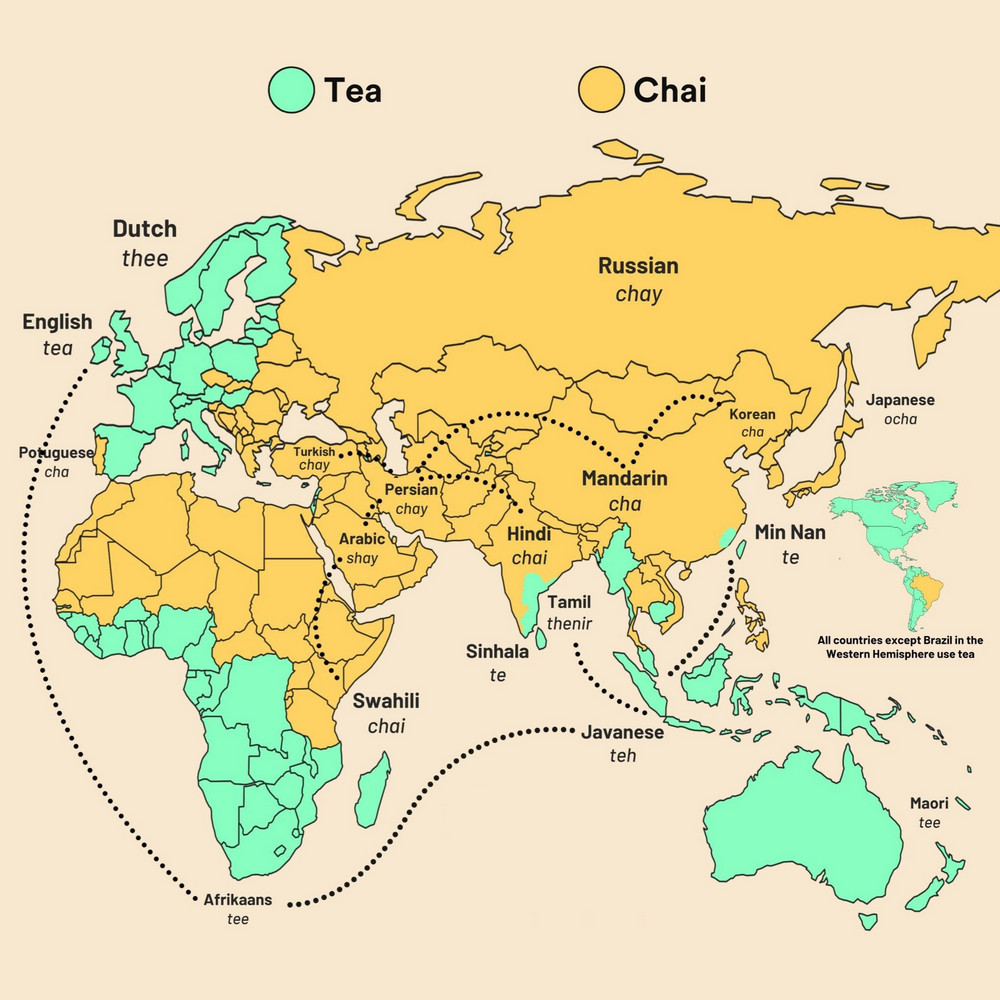Чем обусловлено различие слов «чай» и «tea»?