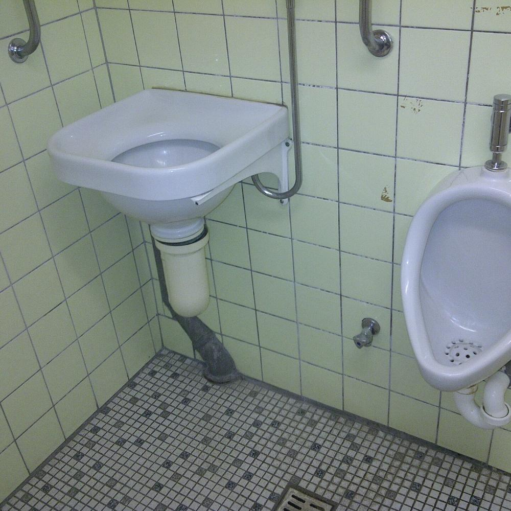 В каких странах некоторые туалеты комплектуются раковинами для рвоты?