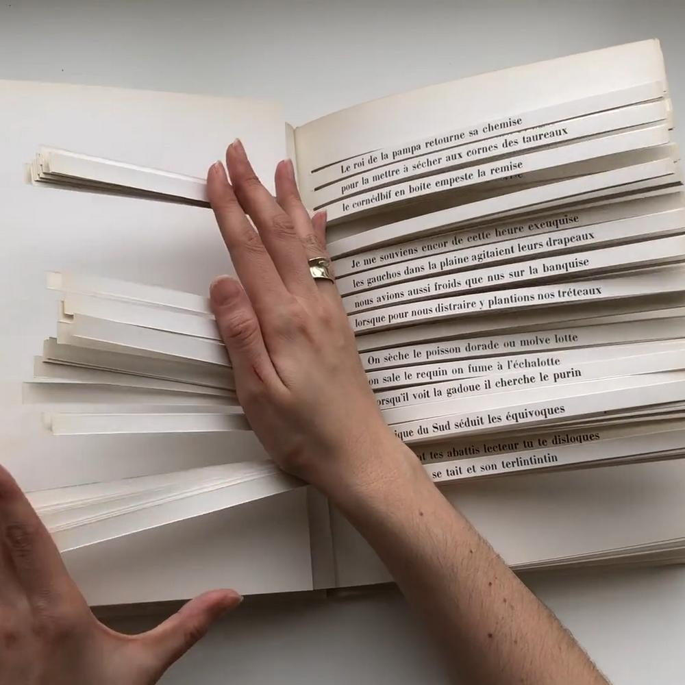 В какой книге можно прочитать 100 триллионов уникальных стихотворений?
